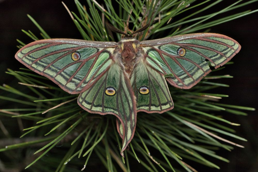 Photograph by Eduardo Salvador Cabrera