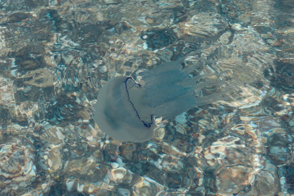 Photograph by Вальшина Алина