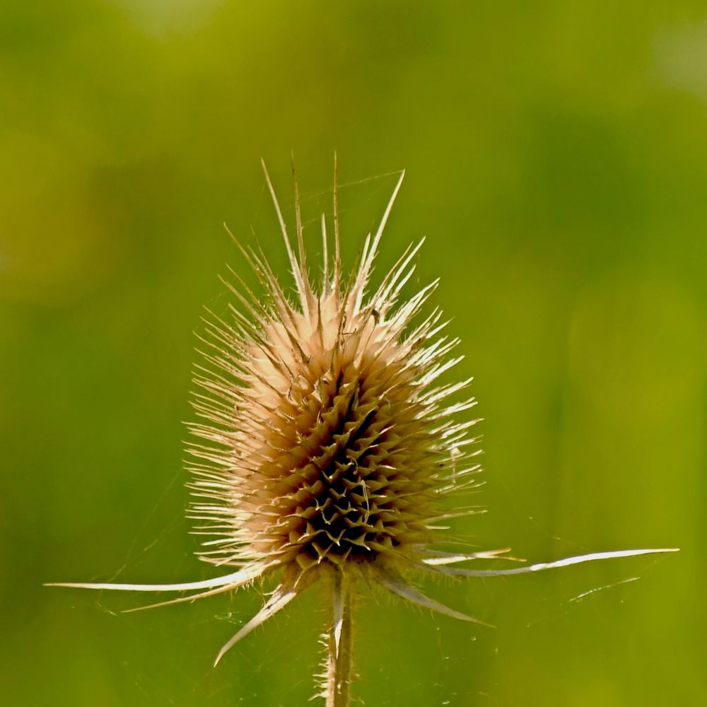 Photograph by Евгений Климов