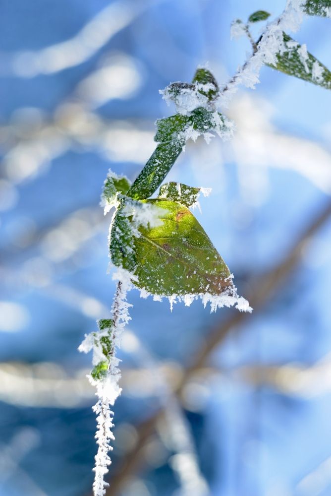 Photograph by Надежда Сурганова