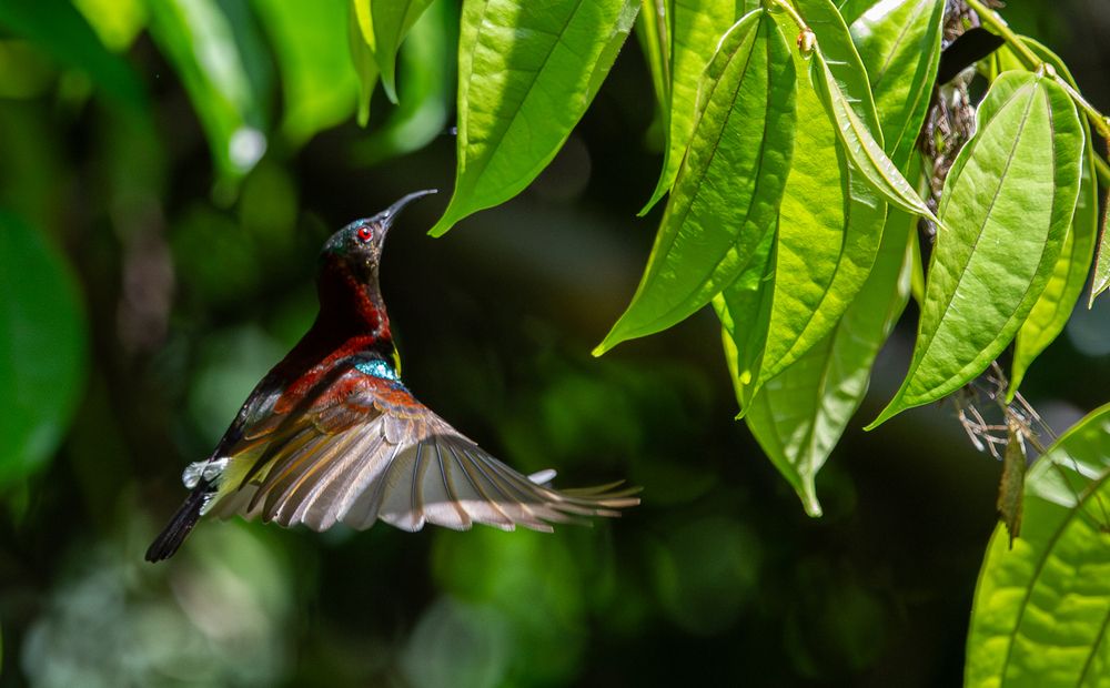 Photograph by Saliya Ambegoda