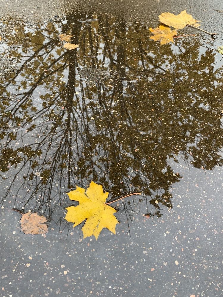 Photograph by Ирина Шпаковская
