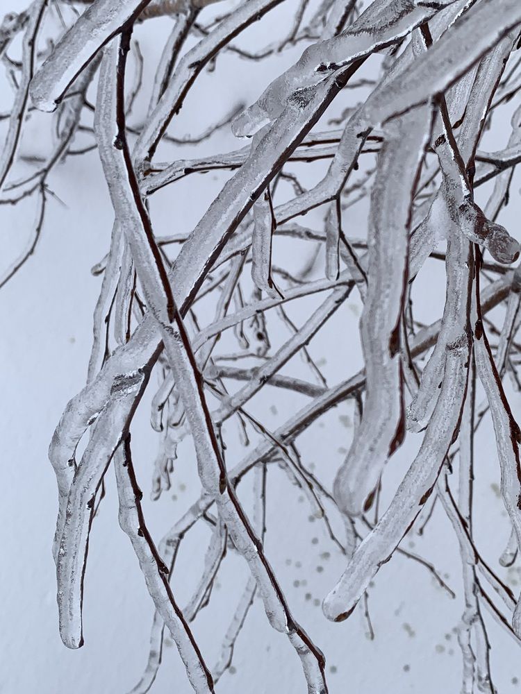 Photograph by Ирина Шпаковская
