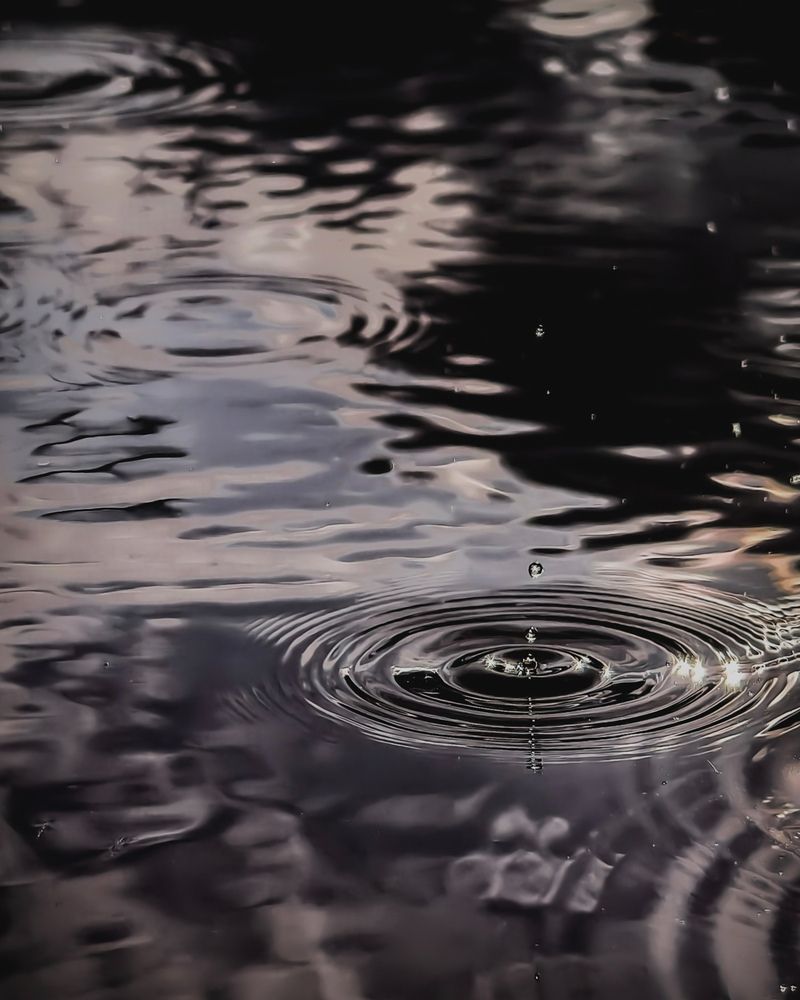 Raindrop Symphony