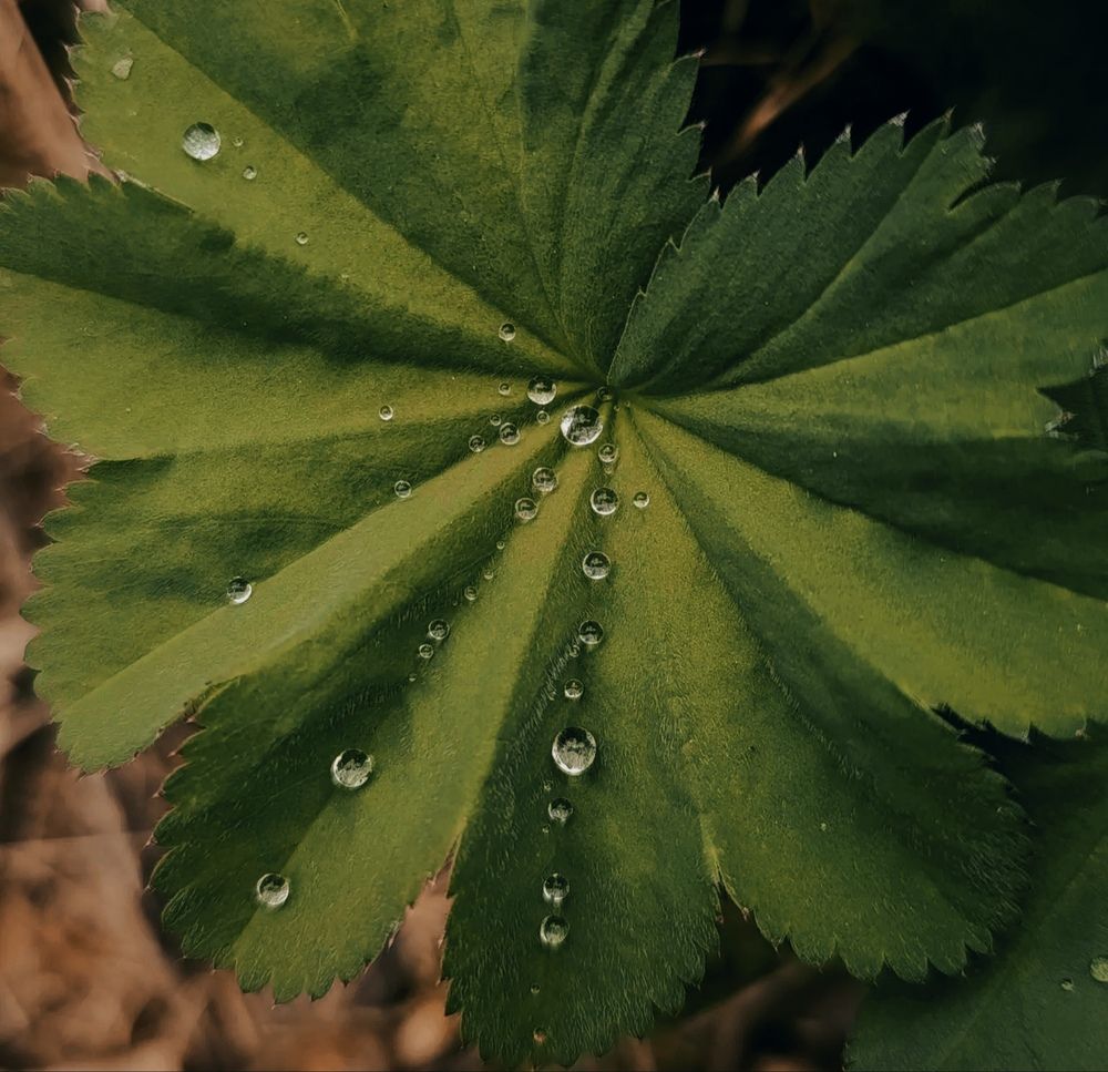 Photograph by Софья Сюсюкина