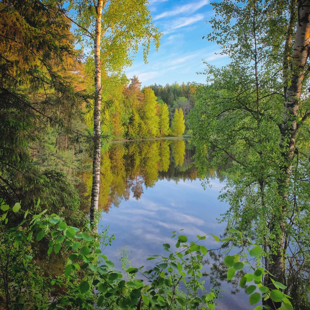 50 оттенков зеленого