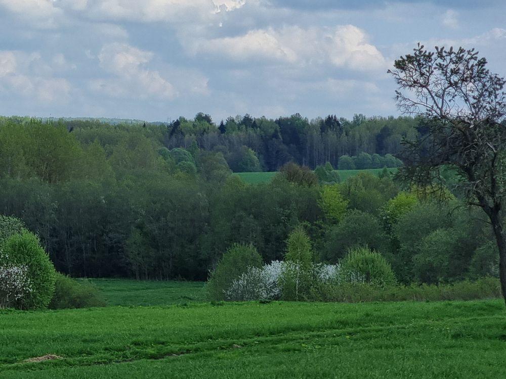 Photograph by Светлана Алексеева