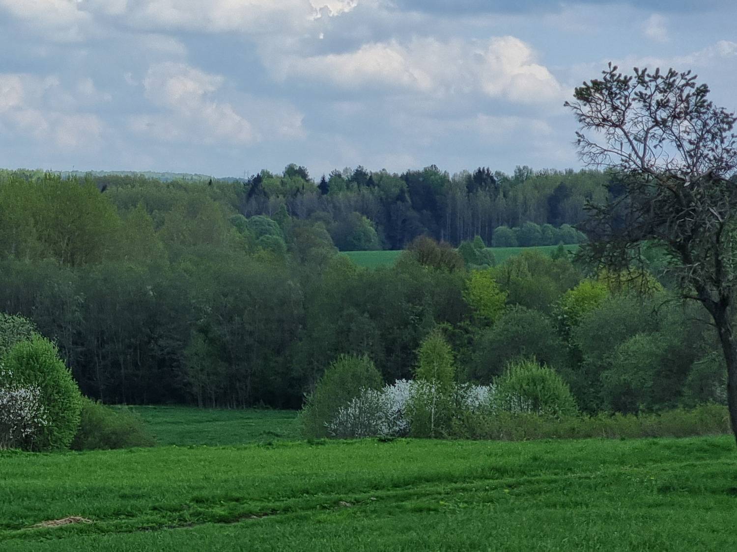 Photo #13619423