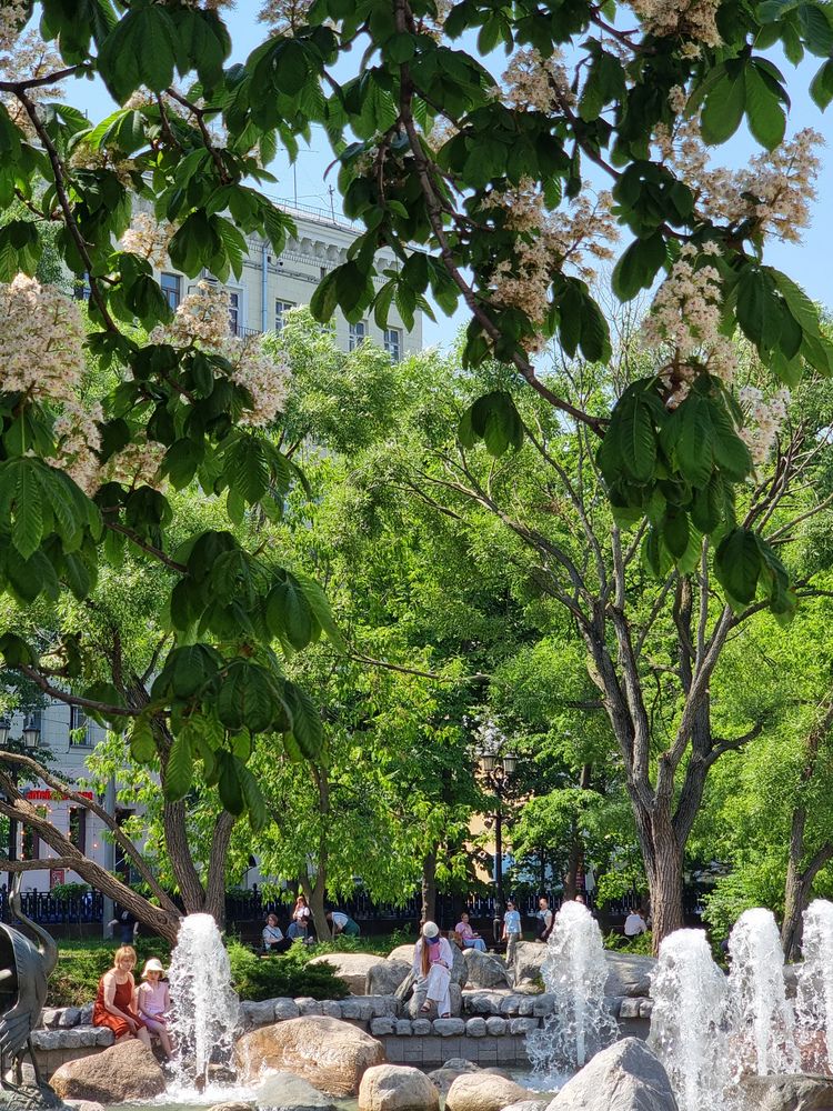 Photograph by Светлана Алексеева