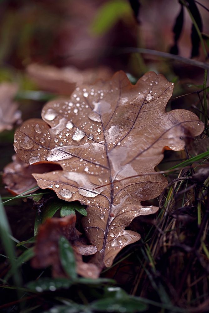 Photograph by Владимир Ходаковский