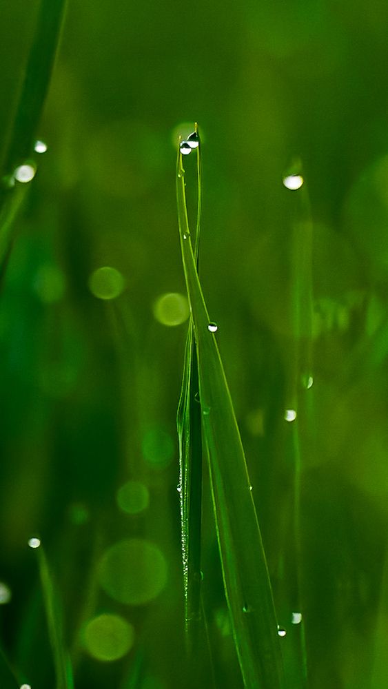 Photograph by Abhishek Pradhan