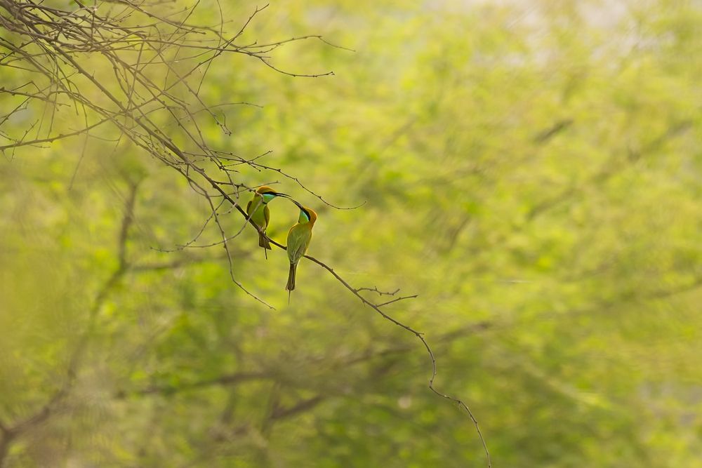 Photograph by Abhishek Pradhan