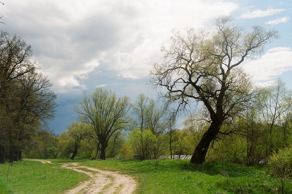 Photograph by яков сморгонский