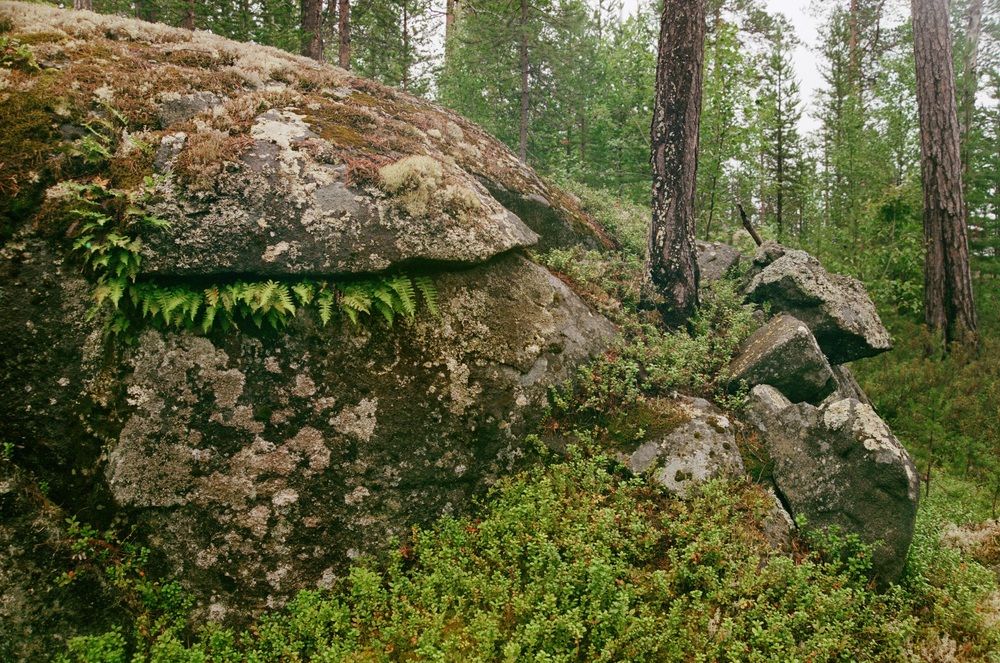 Photograph by яков сморгонский