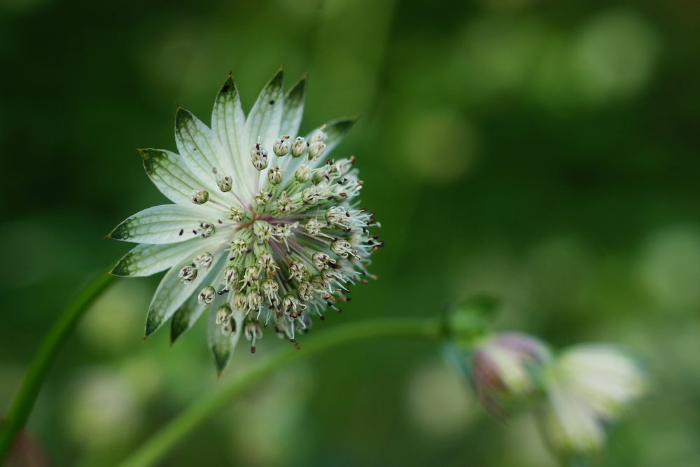 Photograph by Алексей Мякота