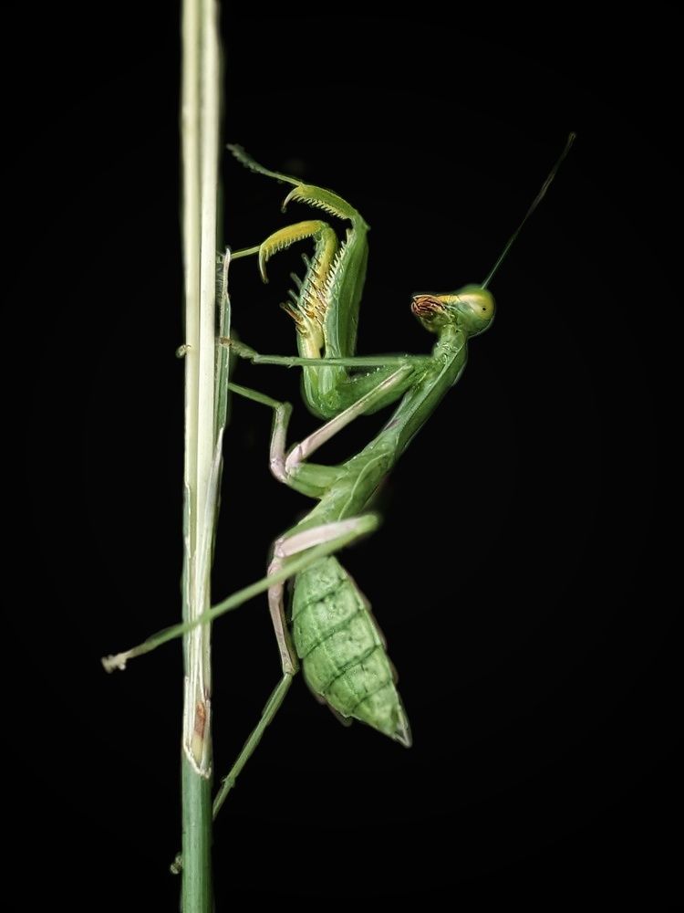Photograph by Sai Krishna