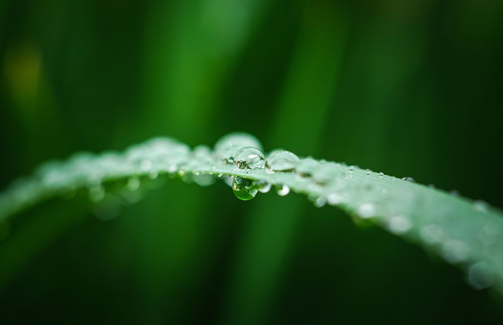 Photograph by Алексей Мякота