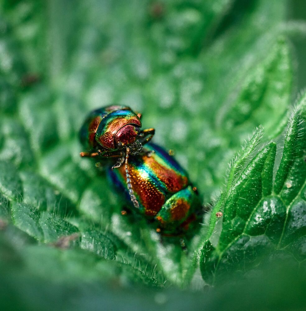 Photograph by Mikhail Khmelevskiy