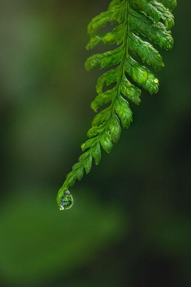 Photograph by Maria Jacewicz