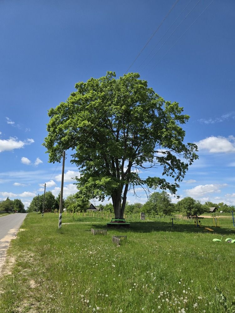 Photograph by Анна Хмелькова