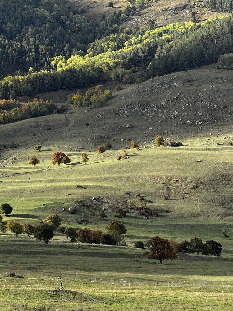 Photograph by Дарья Ищенко