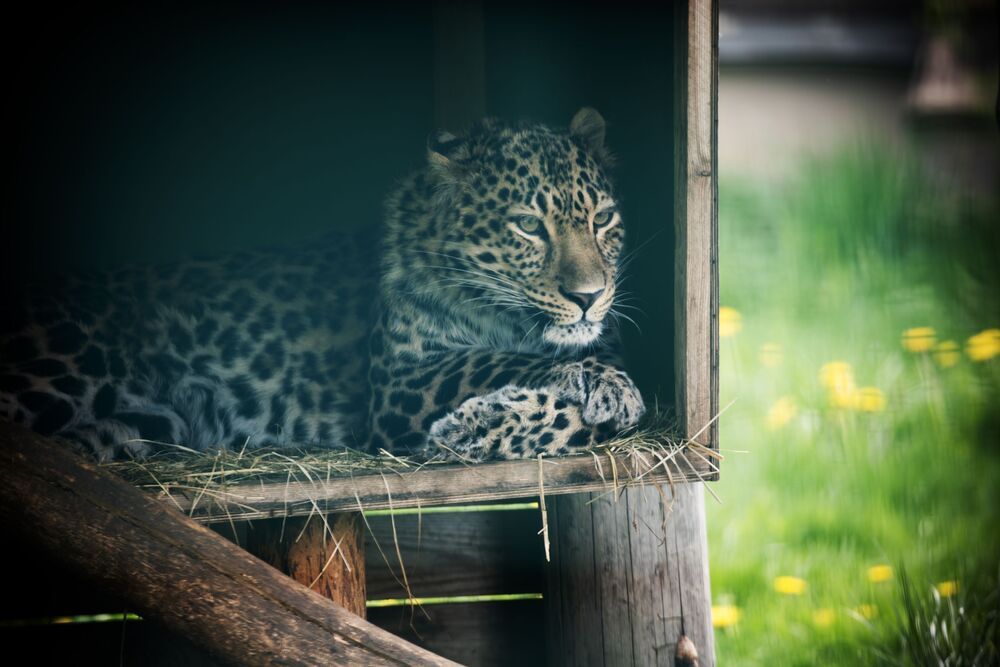 Photograph by Sergey Belov