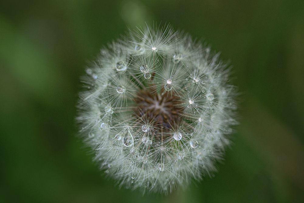 Photograph by Maria Jacewicz