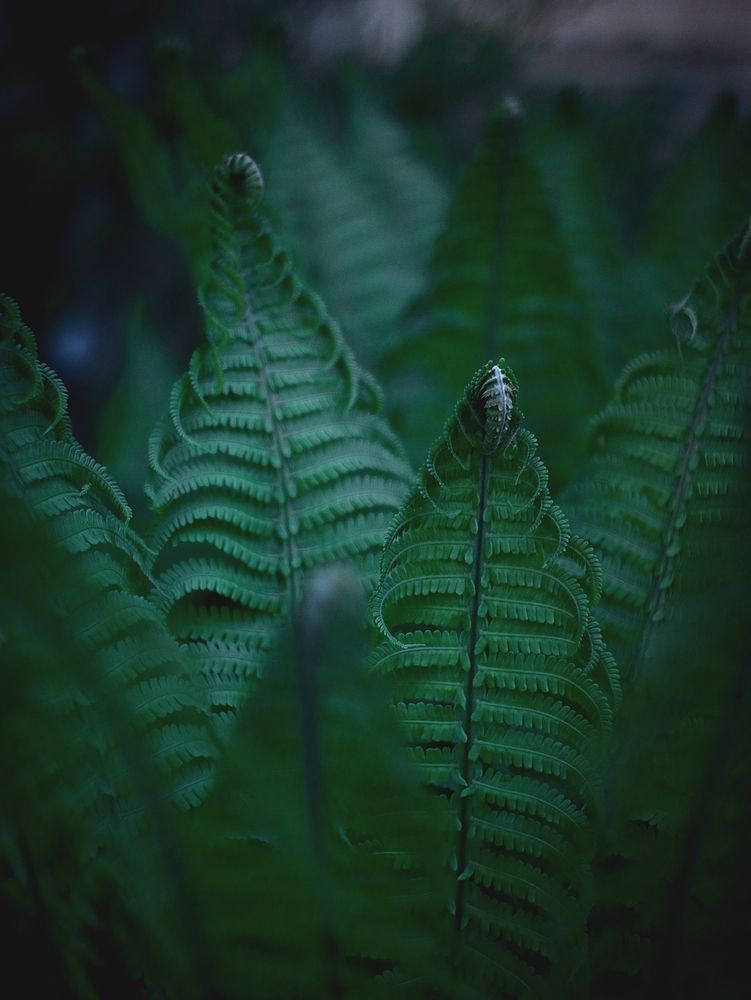 Photograph by Светлана Алехина