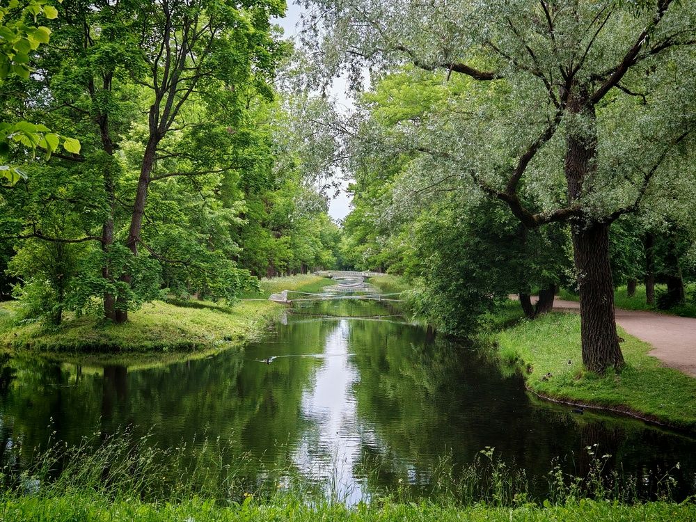 Photograph by Ольга Кузнецова