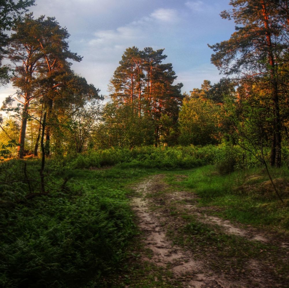 Photograph by Сергей Григорьев