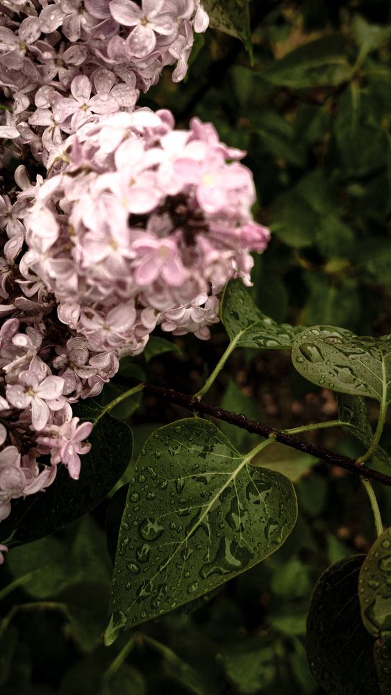 Photograph by Татьяна