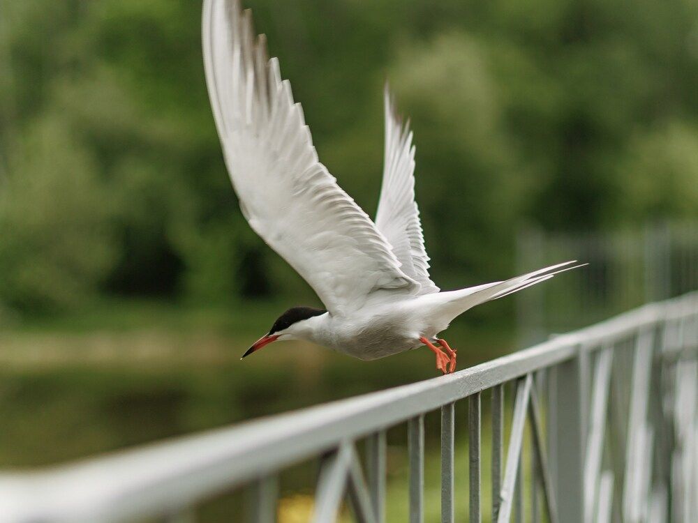 Photograph by Лоскутов Илья