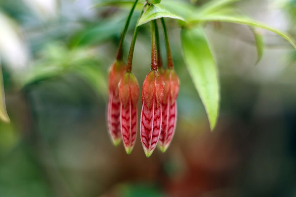 Photograph by Воронина Татьяна