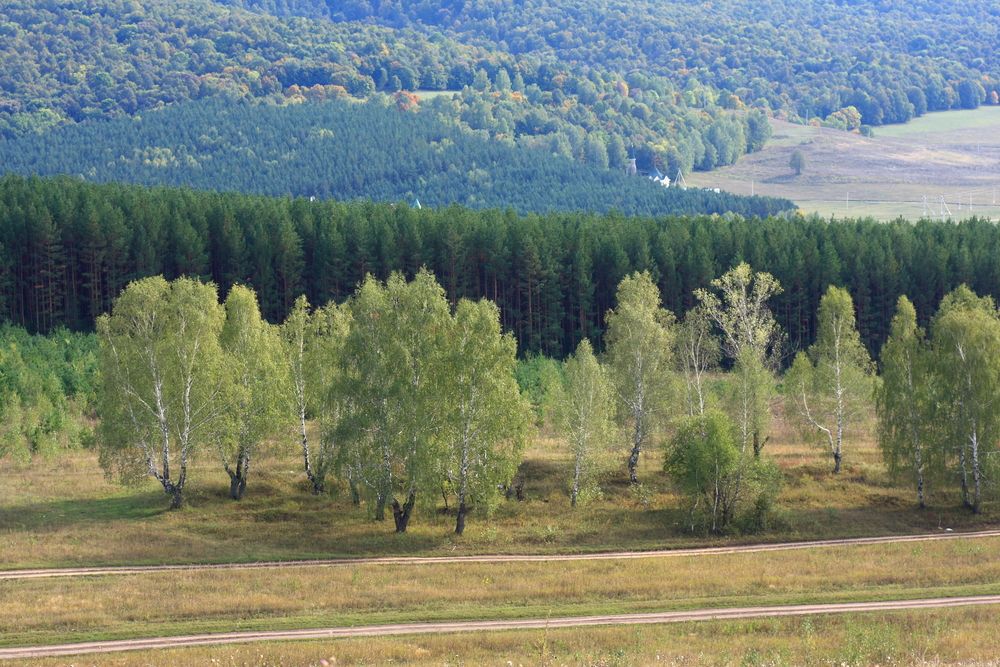 Photograph by Тимофей Черепанов