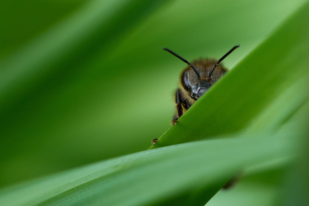 Photograph by Игорь Белов