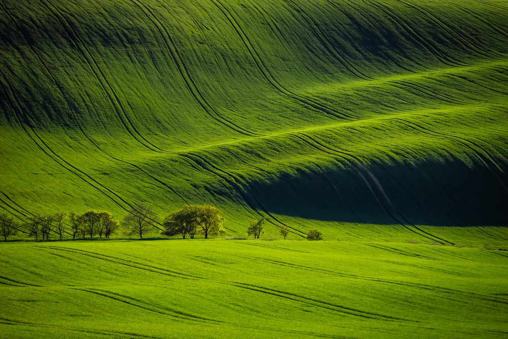 Photograph by Дорн Оксана