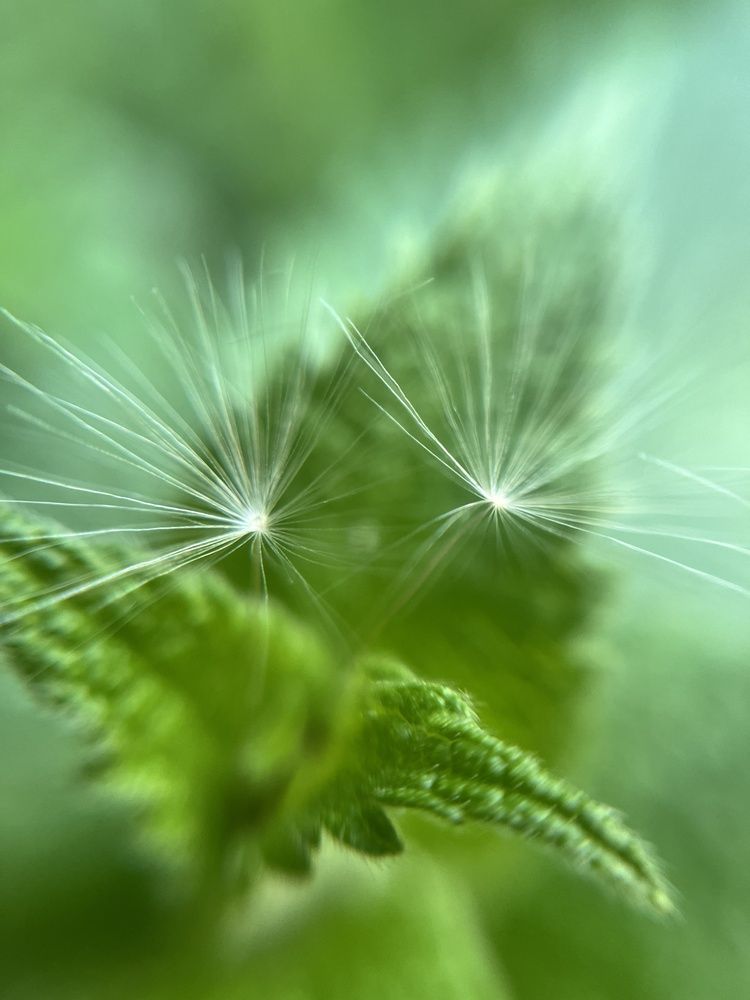 Photograph by Ольга Мохова