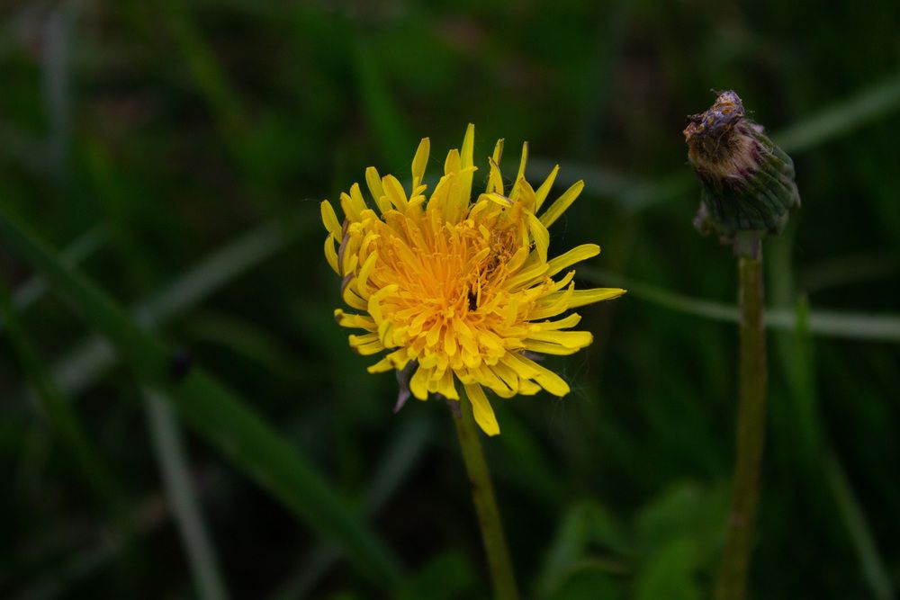Photograph by Владислав Левинский