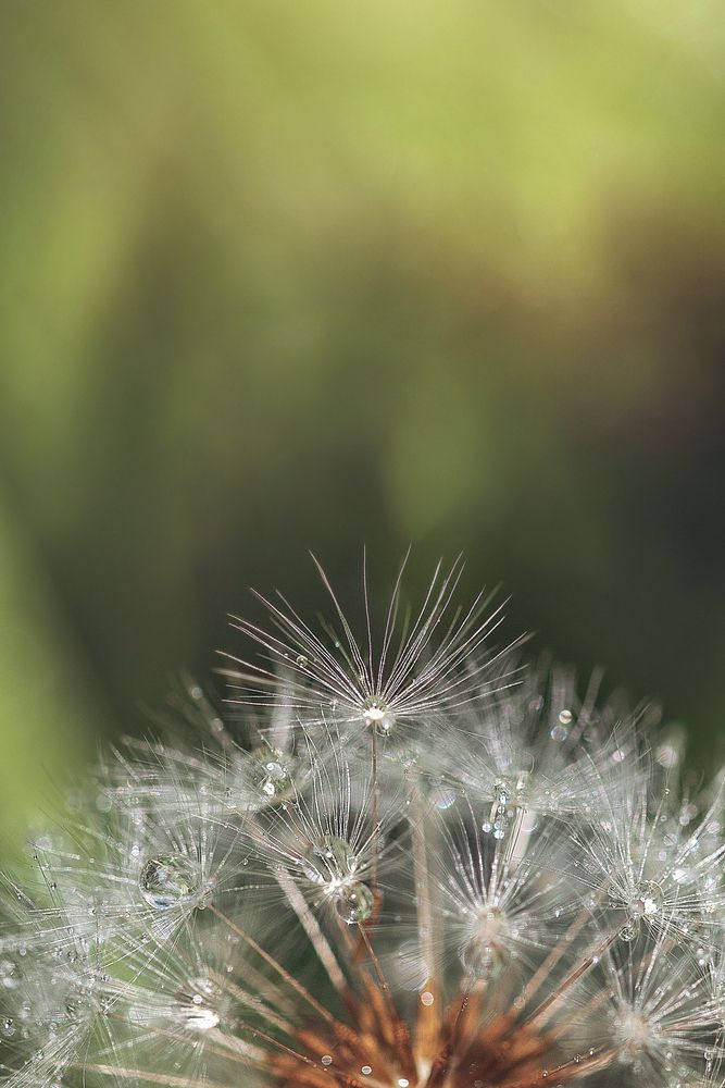 Photograph by Maria Jacewicz
