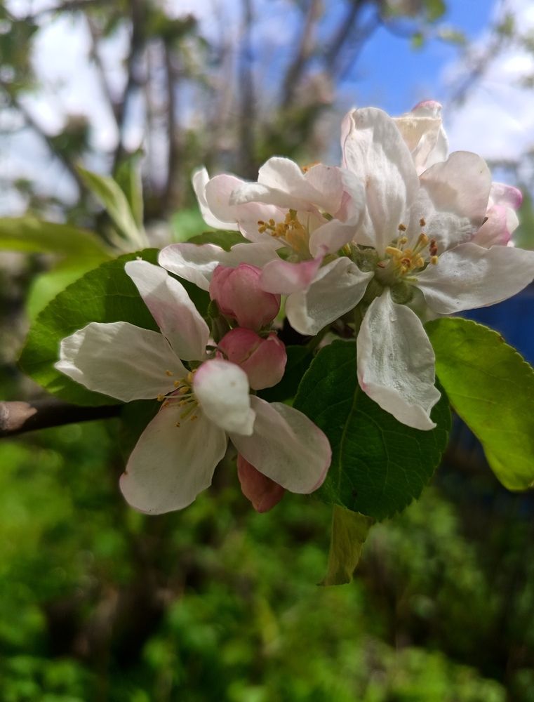 Photograph by Анна Колесникова