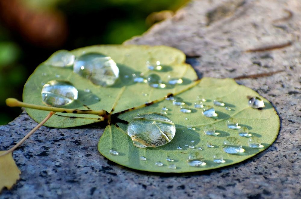 Photograph by Елена Василева