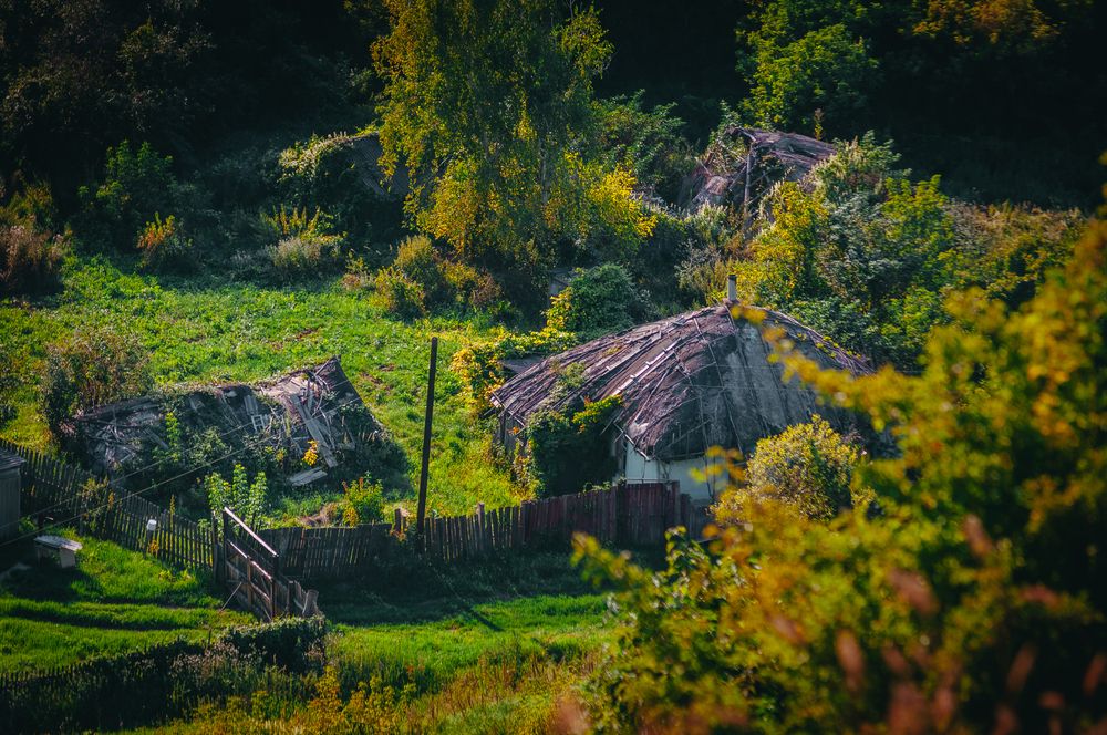 Photograph by Ольга Глущенко