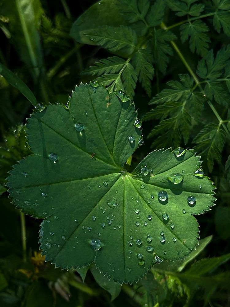 Photograph by Yulia Kotova