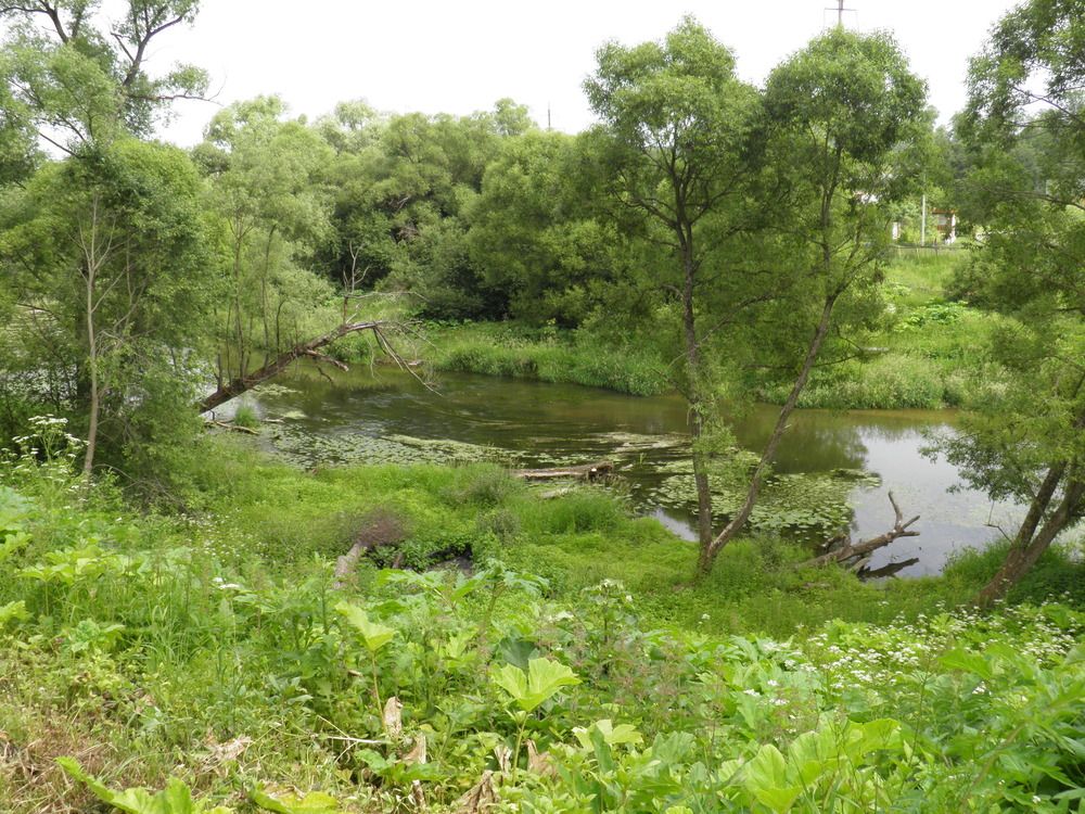 Photo #13620618