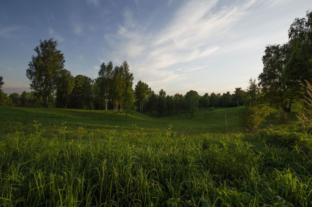 Photo #13620651