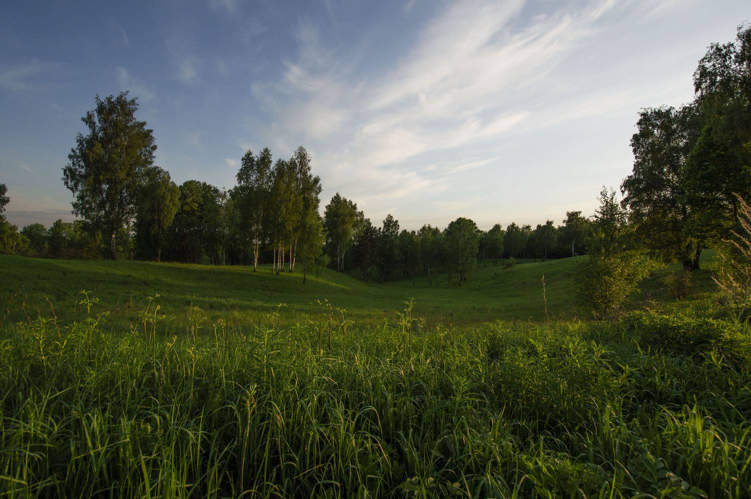Photo #13620651