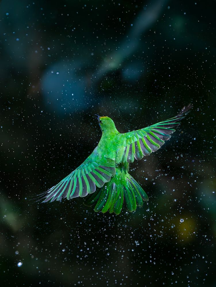 Photograph by Vipin P C