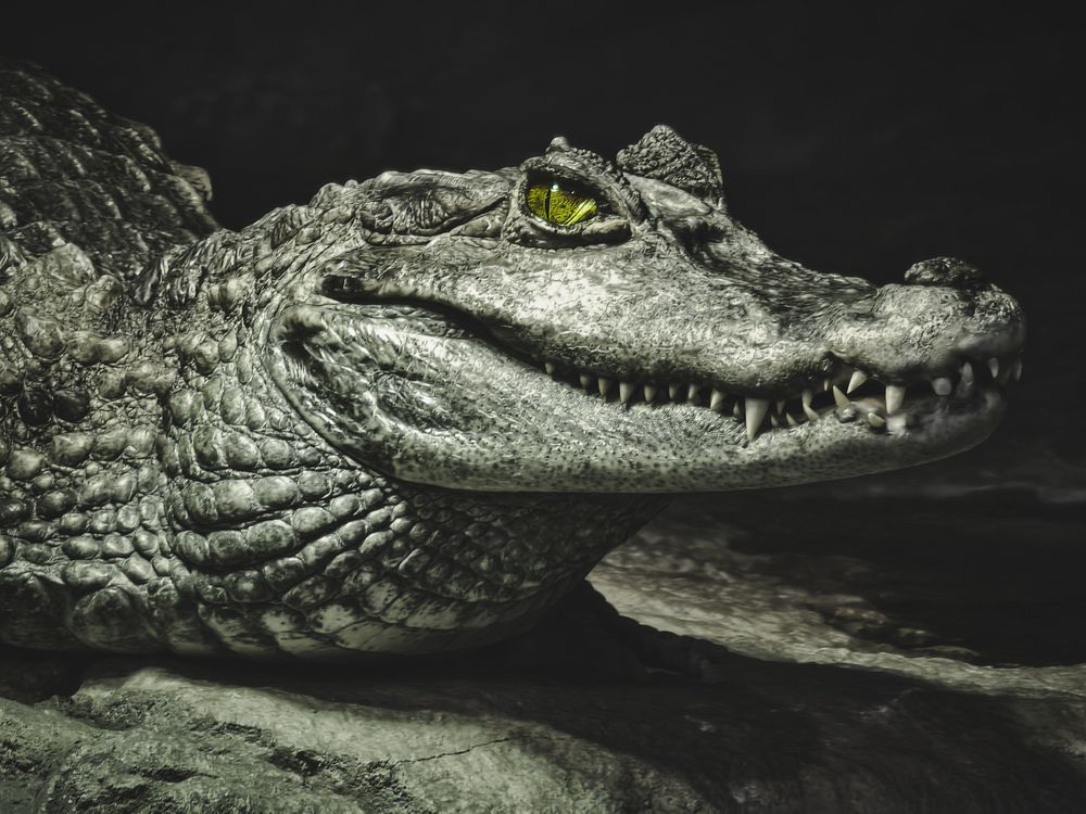 Photograph by Александр