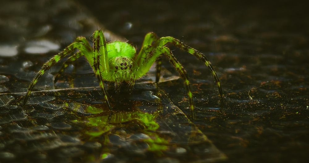 Photograph by Александр