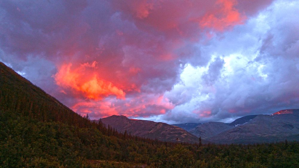 Photograph by Александр Шворнев